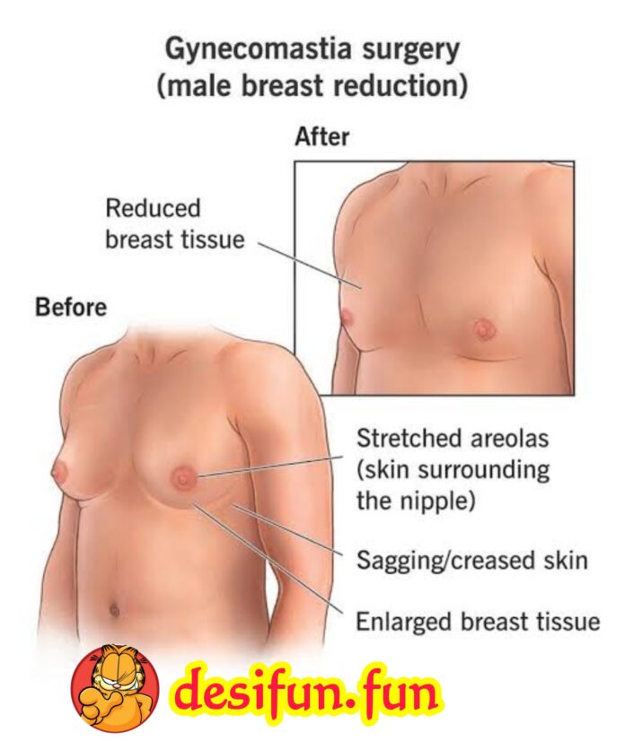 What is plastic surgery? what types of treatments does it include?