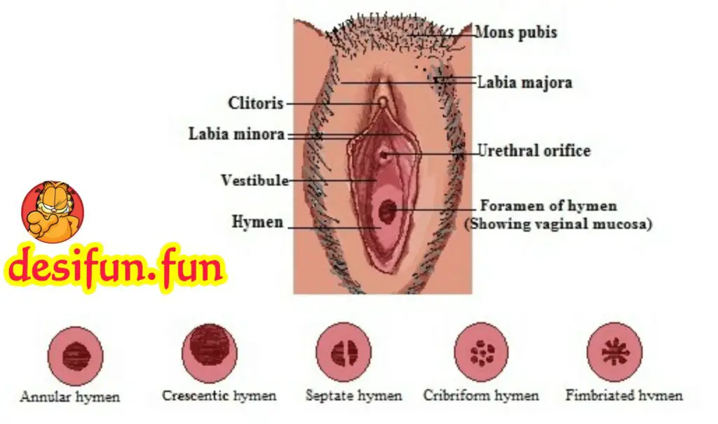 How to find out if a woman is a virgin? Is it possible?